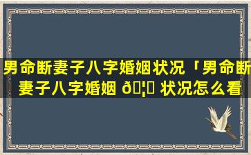 男命断妻子八字婚姻状况「男命断妻子八字婚姻 🦊 状况怎么看 🐬 」